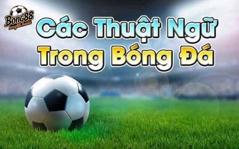 thuật ngữ cá độ bóng đá