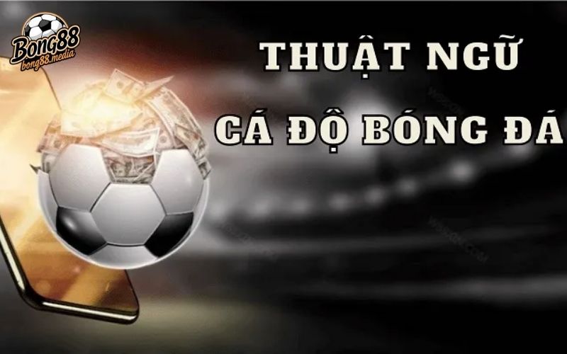 thuật ngữ cá độ bóng đá