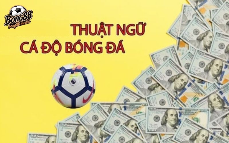 thuật ngữ cá độ bóng đá